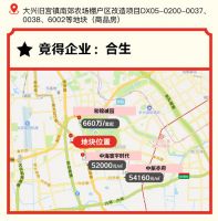 新型“共有产权房”地块暂停拍卖