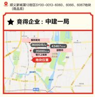 新型“共有产权房”地块暂停拍卖