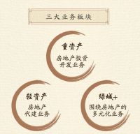 透视 | 足球俱乐部去“绿城”化引发球迷反对 绿城多元化业务同宗同源不同命