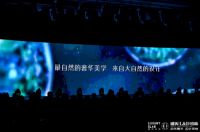 唯美L&D奢石岩板,开启中国高端品牌岩板时代