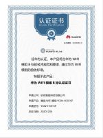 前霍尼韦尔、西屋品牌照明板块亚太区CEO王泽嘉加入雅观科技
