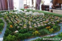 淀山湖荷玛诗湾实景曝光,简直是现代版桃花源!【营销中心】