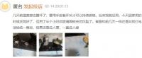 聚焦315|老板、苏泊尔燃气灶再现“爆炸门” 屡遭消费者投诉拷问产品质