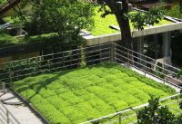 全国人大代表、三棵树董事长兼总裁洪杰：积极推行种植屋面，助力实现碳中和