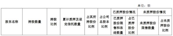 荣盛发展：荣盛建设质押7598.79万股公司股份 占总股本的1.75%-中国网地产
