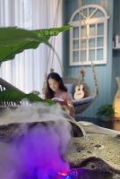 享时光木阳台|用一抹新绿,充“植”美好生活