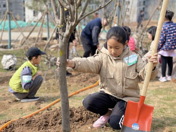 中国绿发济南公司开展“同植绿色梦共筑健康家”植树活动-中国网地产