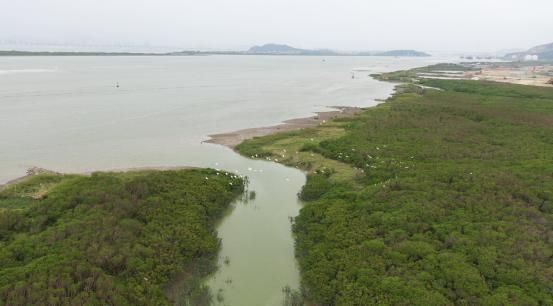 贝壳找房“蓝海行动”开展植树节活动 VR看房助力低碳环保（推荐标题）