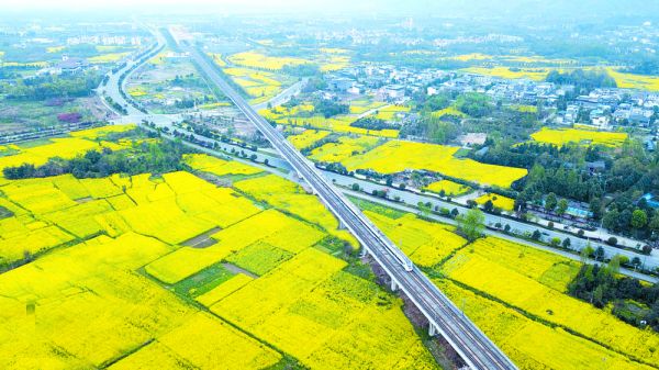 成都创新生态价值转化的多元路径-中国网地产