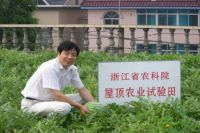 李伯钧：种植屋面的多重使命——谈屋顶开辟农田的实践与意义