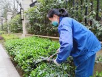世茂服务中西部|提品质创标杆，用体验感知品牌实力
