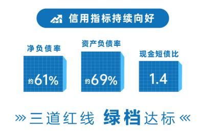 大发地产稳健经营逻辑：降杠杆、提利润、保规模