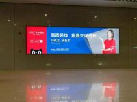 天洋李明健:严把品控,逐步扩大品牌影响力