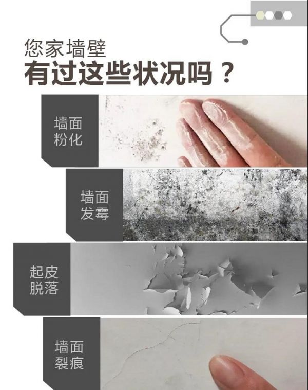 大宝漆无添加高效净味底漆：全新升级，从底到面层层净味