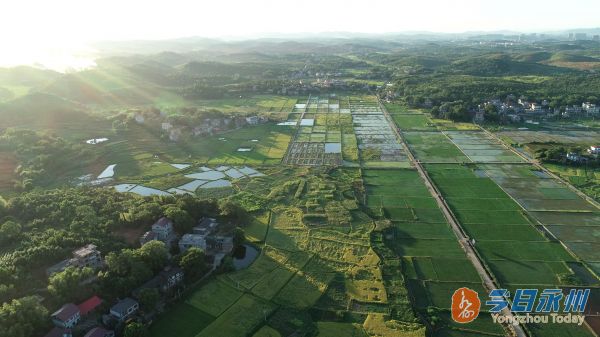 祁阳:“三强化”高标准建设现代农业园区