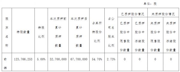 大名城：俞锦质押3500万股公司股份 占总股本的1.41%-中国网地产