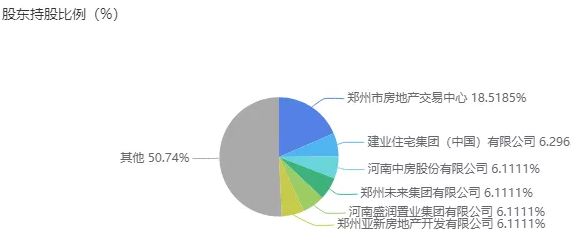 股东持股比例