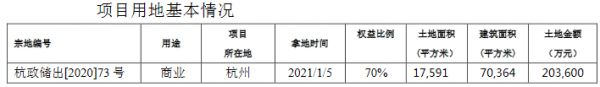 滨江集团：为杭州滨硕实业提供9.8亿元融资担保-中国网地产