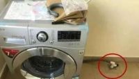 为什么洗衣机排水管不能直插地漏？听内行人解说，懊悔现在才知道