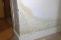 住过低楼层的用户为何都想住高楼层，看看真实原因？