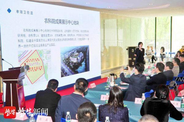 南京孝陵卫启动“紫南核心街区”建设-中国网地产