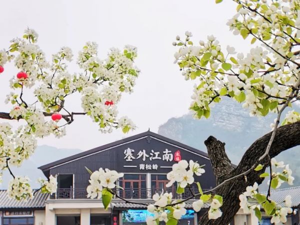 五一环京出游不必人山人海 来荣盛康旅看山看海-中国网地产