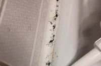 越来越多人拆掉了卫生间里的洗手台，学学别人这样做，方便又实用