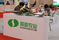 京城白酒老大栽在地产上，聚焦在“喝酒”、“吃肉”也不香？