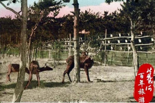 重逢山水人间的温柔，富力公元山讲给你听