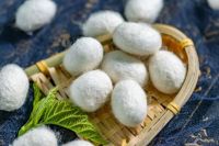 65载聚焦高端床品，梦洁惊艳亮相中国品牌日