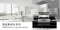 集成灶丨广东集成灶前五品牌排行榜