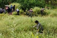 女业主晒出一幕,网友看完羡慕哭:这是什么神仙小区