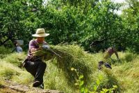女业主晒出一幕,网友看完羡慕哭:这是什么神仙小区