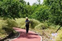 女业主晒出一幕,网友看完羡慕哭:这是什么神仙小区