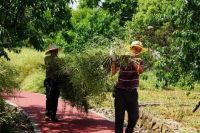 女业主晒出一幕,网友看完羡慕哭:这是什么神仙小区