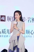 李冰冰亲临助阵!顺辉瓷砖516超级品牌日