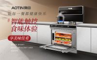 集成灶品牌全国前十名排行榜