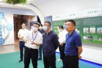 北新建材与鲁商发展签署战略合作协议
