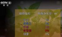 新房放绿植除甲醛真的有用吗?看完你就知道了