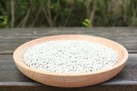 新房放绿植除甲醛真的有用吗?看完你就知道了