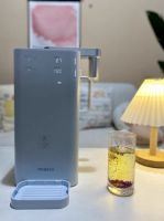 端午节团圆局,黑科技的家电新宠:熊小夕独角兽净饮机