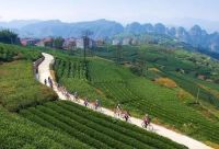 搞乡村旅游要选择什么性质的土地?这11个文件给出了用地框架!