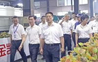 解难题、优服务，武义县委书记姚激扬一行来访调研，鼓励金凯德高质量发展！