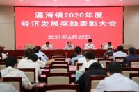 美巢斩获“瀛海镇2020年度经济发展科技创新奖”