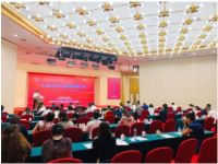 美丽鸟瓷砖荣获《品牌中国》百年·百企· 百人活动百佳品牌​重磅奖项