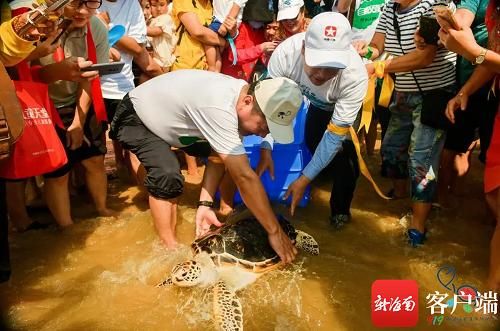 海南富力湾通过开展生态环境教育等活动竭力守卫美丽海洋