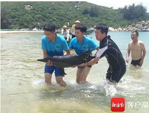 海南富力湾通过开展生态环境教育等活动竭力守卫美丽海洋