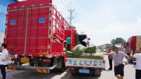 风雨同舟,共护家园丨千年舟「爱心车队」捐赠物资驰援河南!