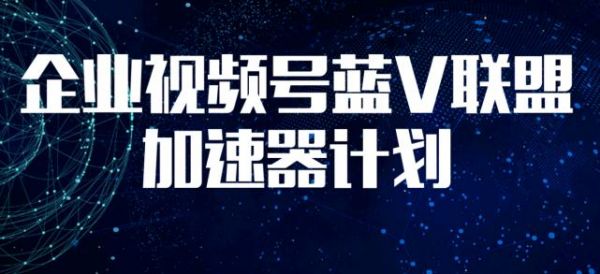 企业视频号训练营——蓝V联盟加速器计划 助力企业抢占视频号流量新阵地