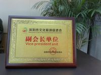侣行家公寓参加深圳市文化旅游促进会副会长扩大会议